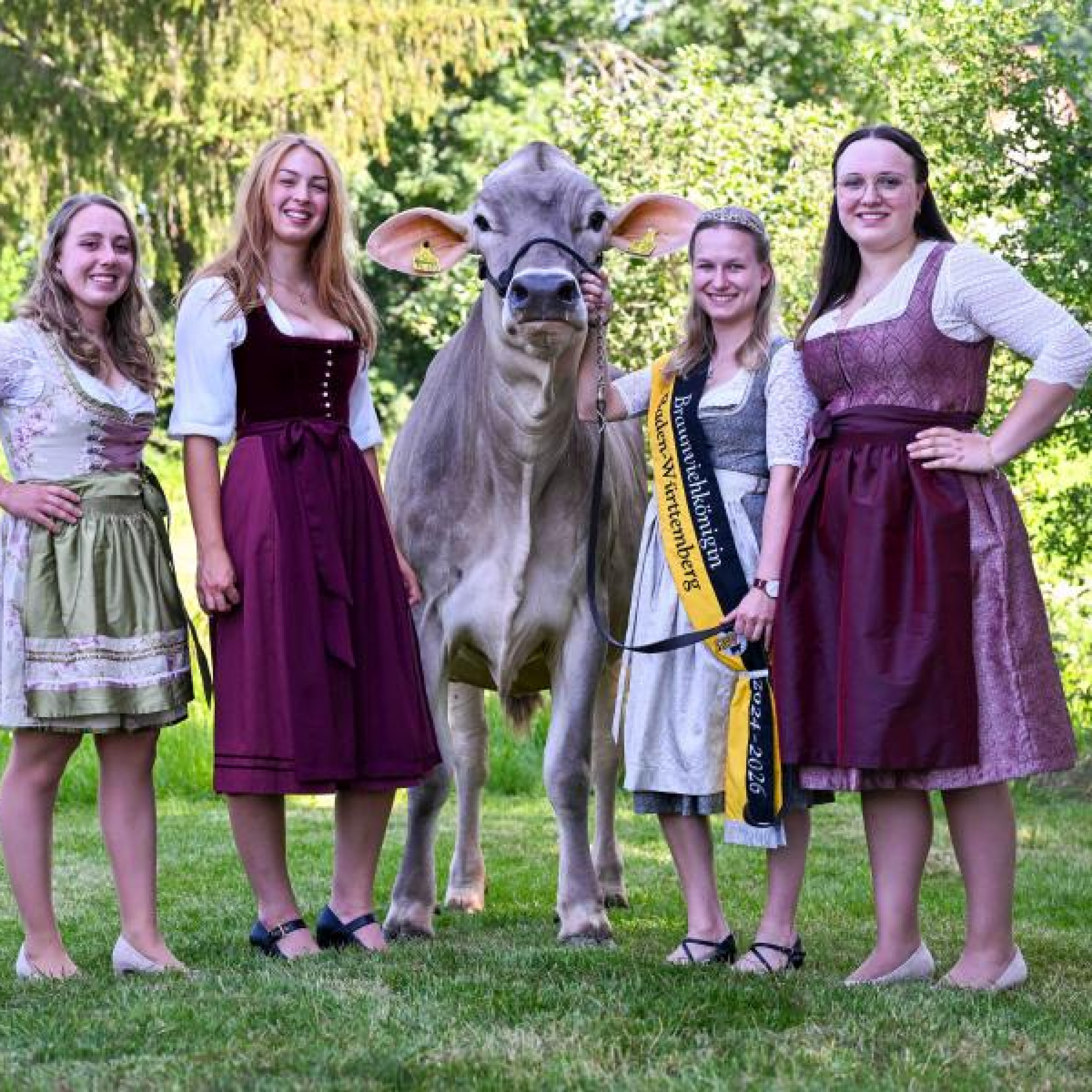 Waldseer Braunviehtag 2026