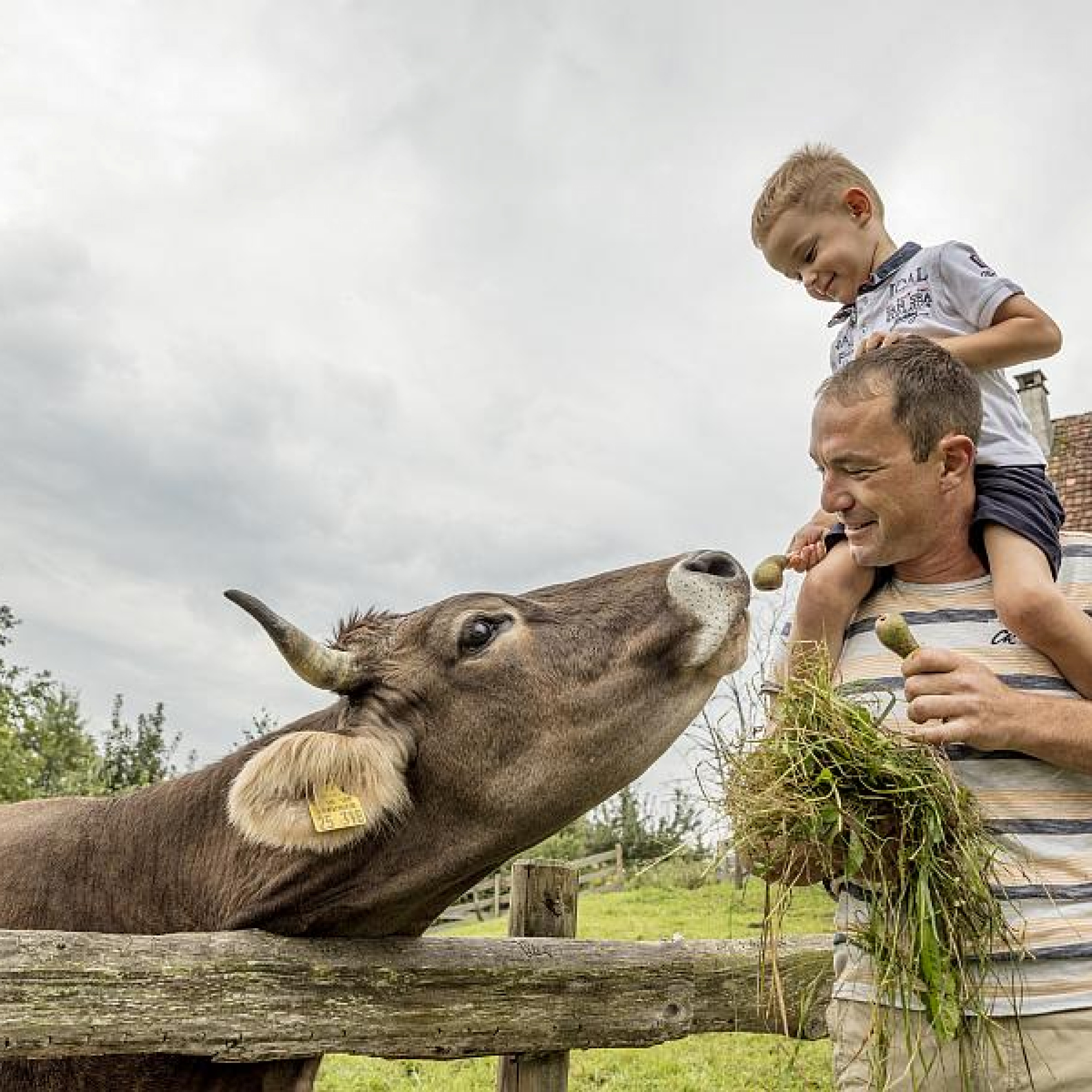 „Unsere Bauernhoftiere“