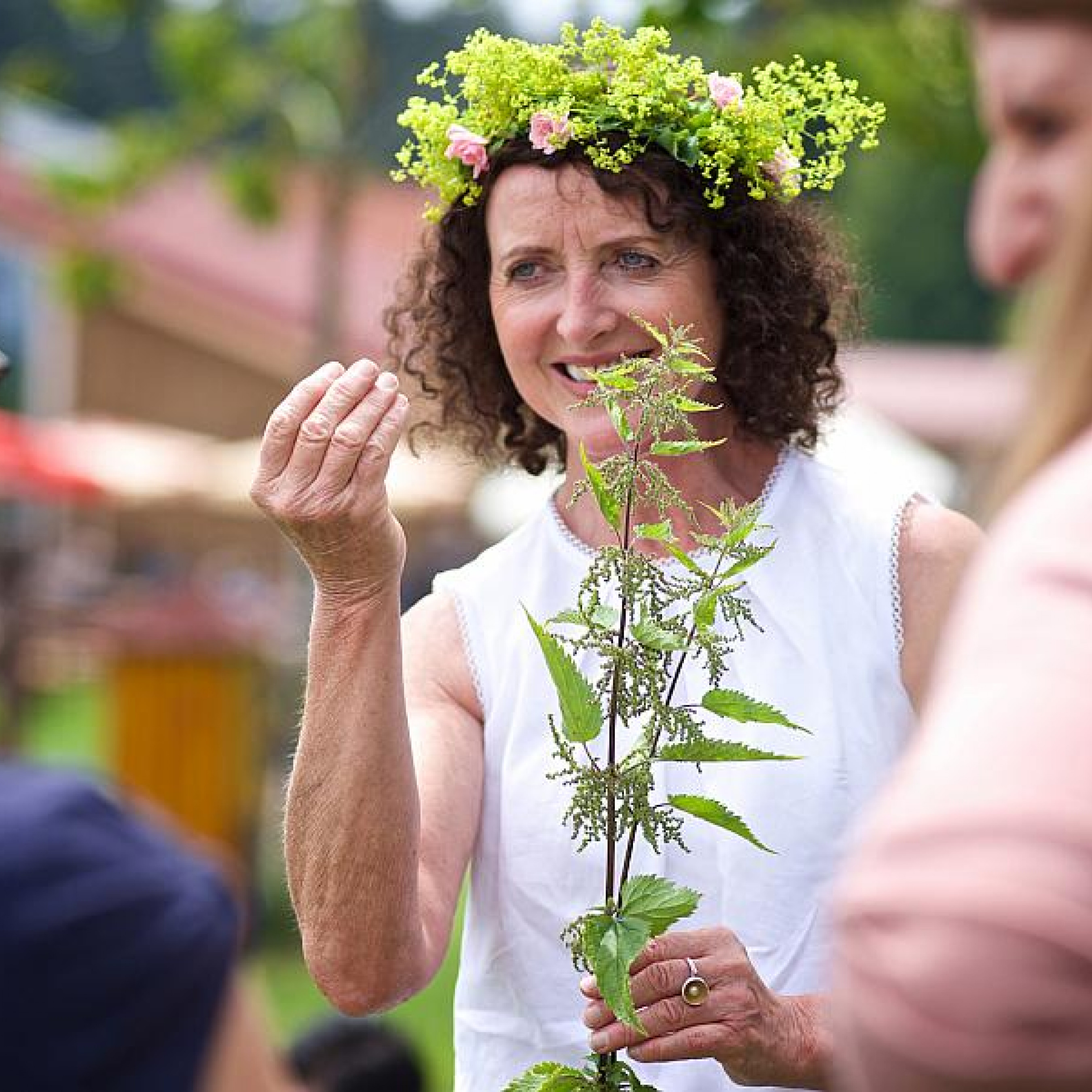 Waldwelt lockt mit Kräuterwissen