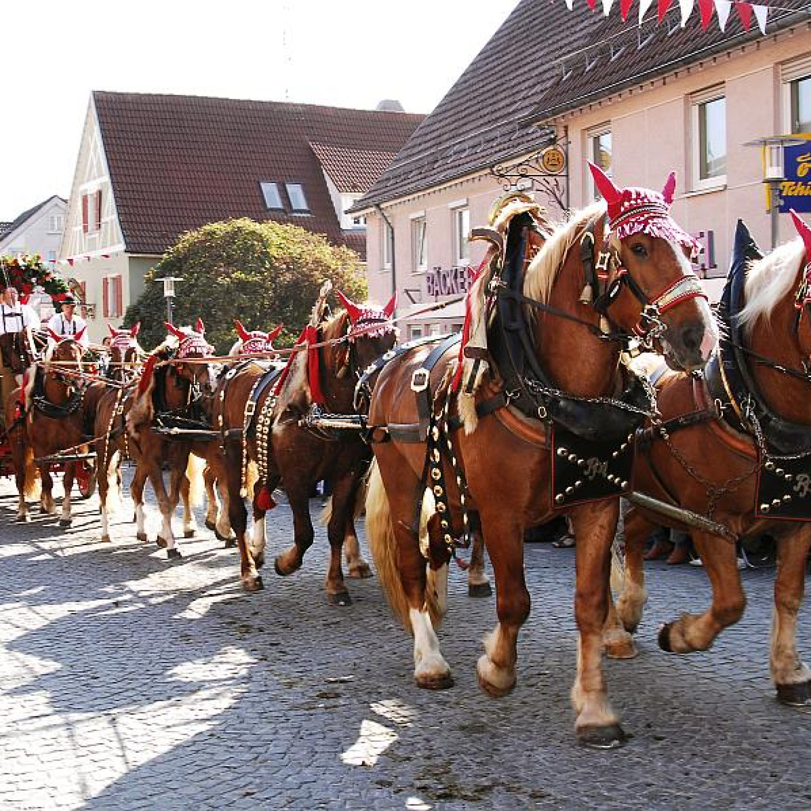 30 Jahre Schussenrieder Fuhrmannstag